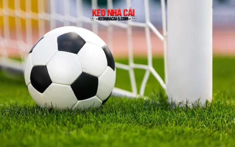 Kinh nghiệm cá cược thể thao fun88 không thua