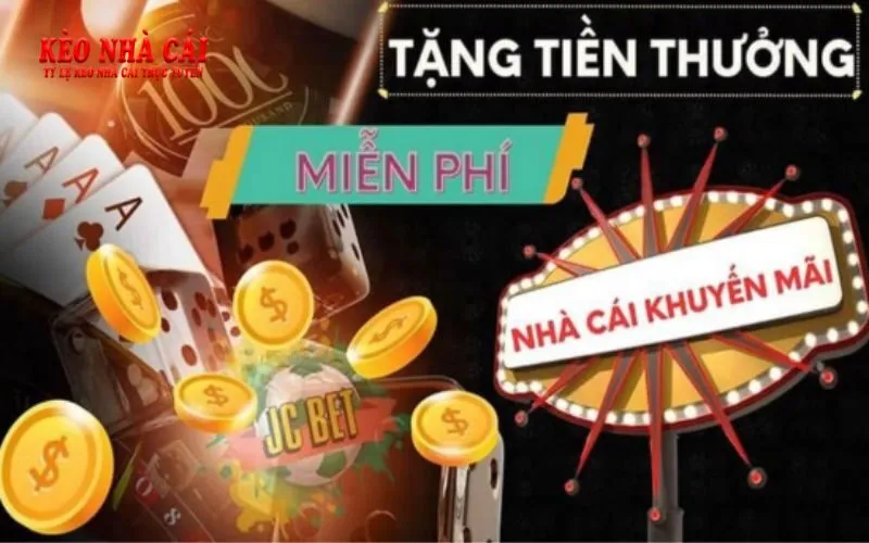 Giới thiệu lịch sử hình thành Vsbet