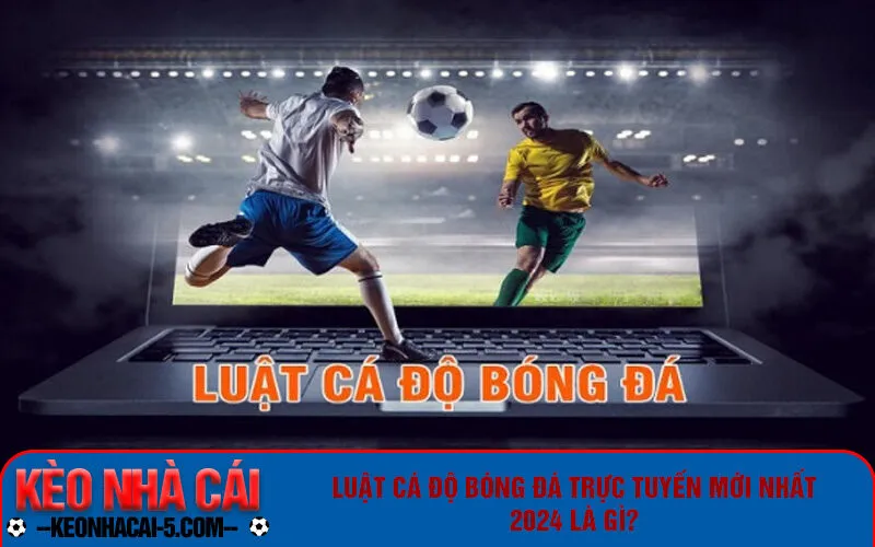 luat ca do bong da truc tuyen moi nhat 2024 la gi Tìm hiểu luật trước khi bắt đầu tham gia cá cược