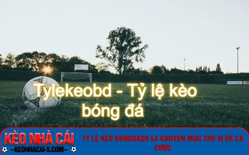 Tỷ lệ kèo bongdaso là chuyên mục thú vị để cá cược 