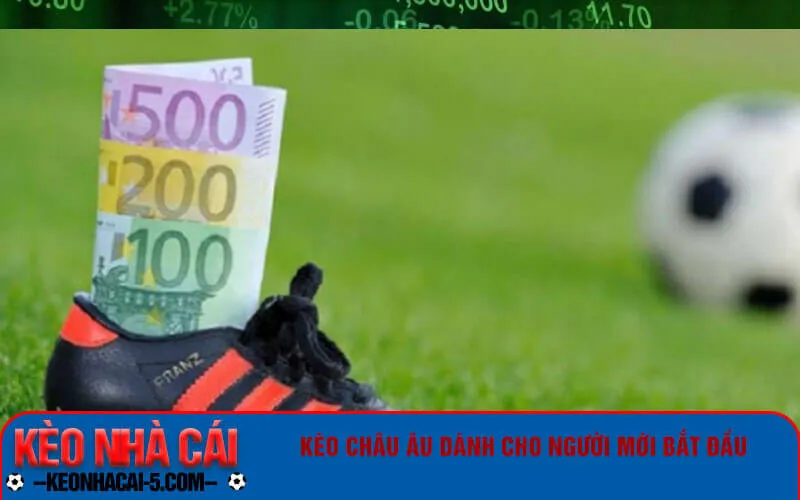 Kèo Châu Âu dành cho người mới bắt đầu