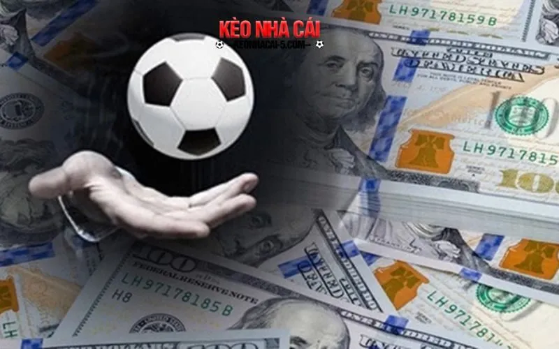 Điểm qua các nét chính về trang cá độ bóng đá